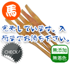 国産馬アキレスSP ロング