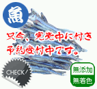 高知産 キビナゴ