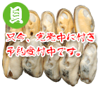 緑イ貝ホウル(フレッシュ)