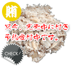 まかないワンズごはん