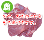 岡山産鹿肉Thigh meat