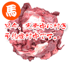 国産馬肉 ラショナル 1kg