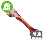 本州鹿骨中