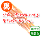 国産馬アキレス アポロ