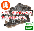国産馬 レバードライ 80g
