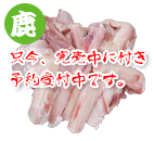 徳島産鹿ボーンカット スープ用