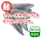 北海道産 天然鮭尾ビレおやつ