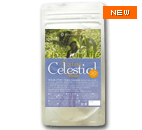 Extra Celestial