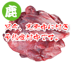 徳島産鹿肉スタンダード 1kg