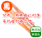 国産馬アキレスEX 60g