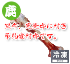 本州鹿骨中