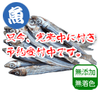 高知産 イワシ 天日干し