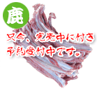 本州鹿アバラ骨(生)お買い得