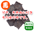 国産馬ハツジャーキー