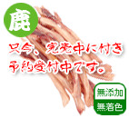 本州鹿アキレス