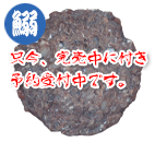 鹿児島産 ウルメイワシミンチ