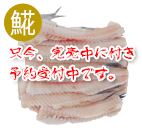kC當 zbP 200g