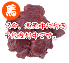 ����̔� ���Y�n�����e�I �{�X2