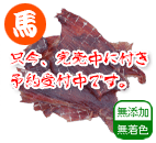 国産馬 リガメント 40g